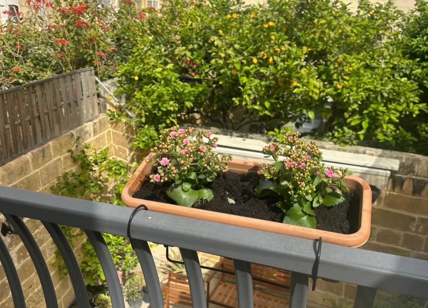 Iris -Paola Modern Townhouse Apartment Malta